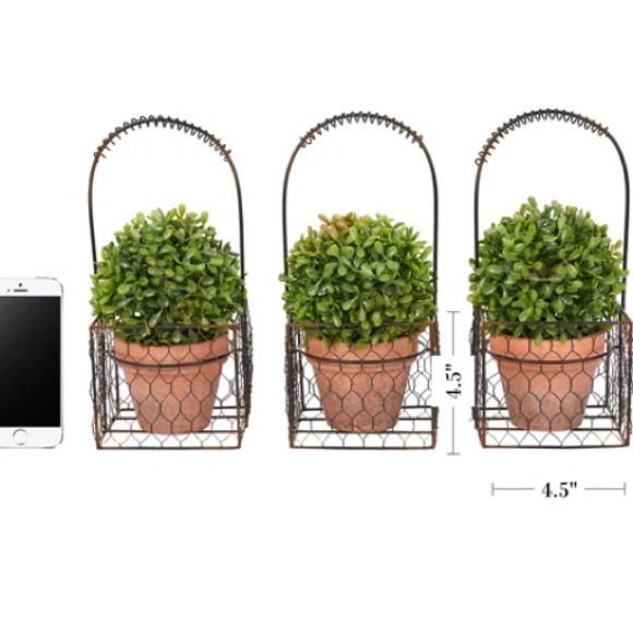 Faux Boxwood Topiary in Pot (Set of 3) - Picture 2 of 5